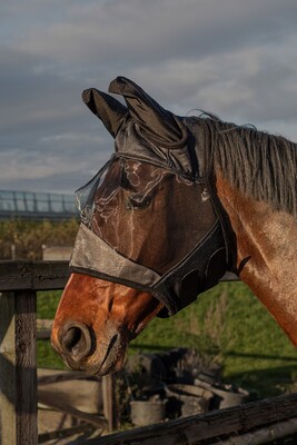 Harry's Horse Vliegenmasker Flyshield, bamboo-lining