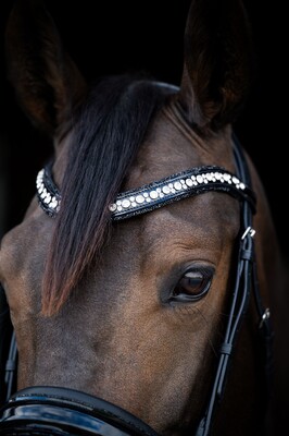 HB Showtime Hoofdstel Stockholm Special A-pony