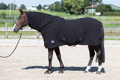 Harry's Horse Fleecedeken met oprolbare hals