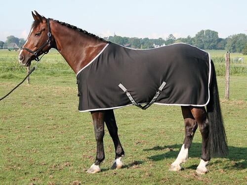 Harry's Horse Coolerdeken Jersey