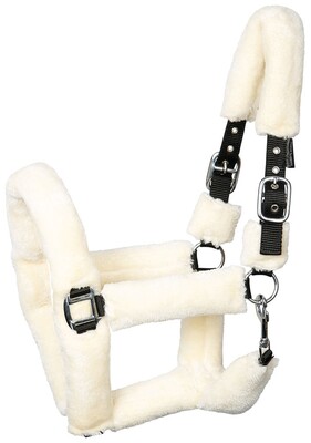 Harry's Horse Halster Teddy