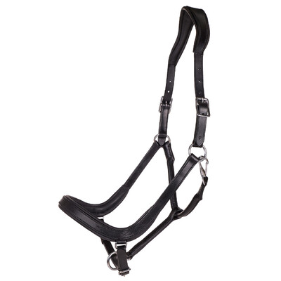 QHP Halster Salerno anatomisch