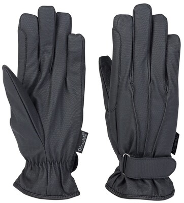 Harry's Horse Rijhandschoenen Alaska waterproof
