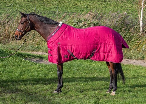 Harry's Horse Staldeken Highliner 200