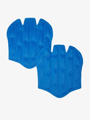 LeMieux ProIce Freeze Boots Gel Pack