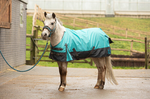 Harry's Horse Regendeken STOUT! Beryl 0gr