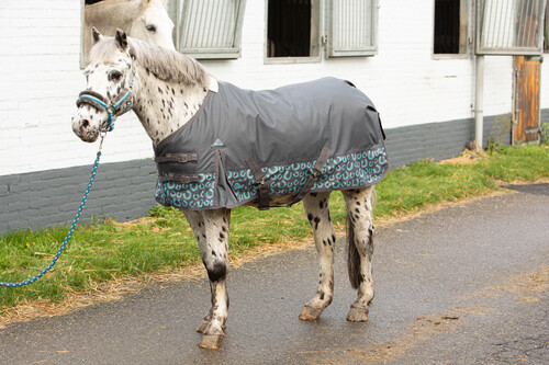 Harry's Horse Outdoordeken STOUT! Beryl 200gr