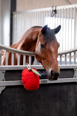 HB Showtime Paardenspeelgoed Appel