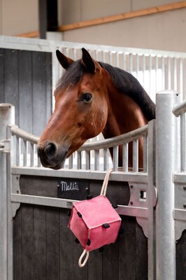 HB Showtime Paardenspeelgoed Cube