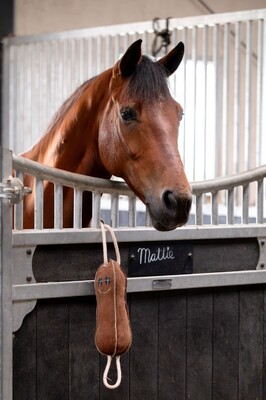 HB Showtime Paardenspeelgoed Mr Beanie