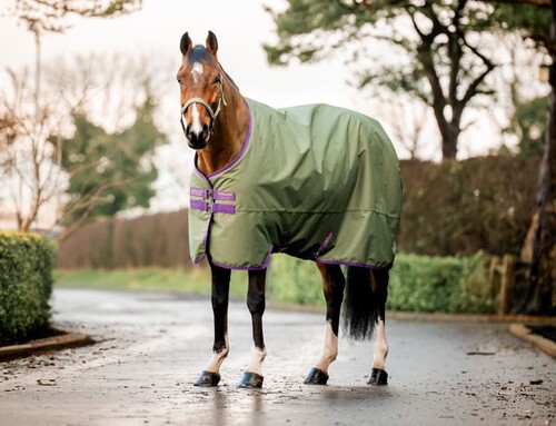 Horseware Amigo Hero Ripstop Original 50g