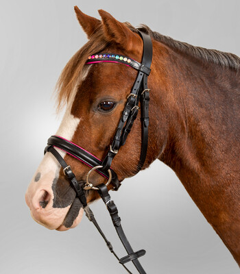 Waldhausen Star Hoofdstel Pinky