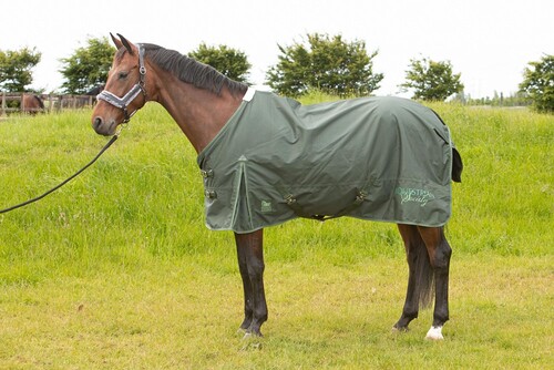 Harry's Horse Regendeken 0gr Thor