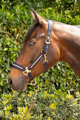 Harry's Horse Halsterset Valli