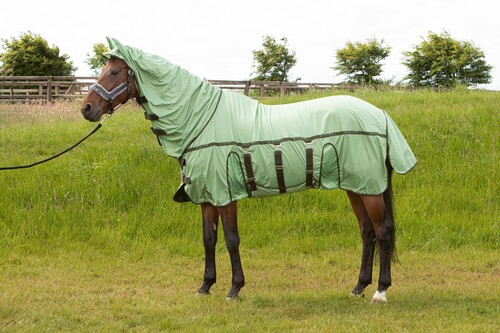 Harry's Horse Vliegendeken Mesh-Pro Belly