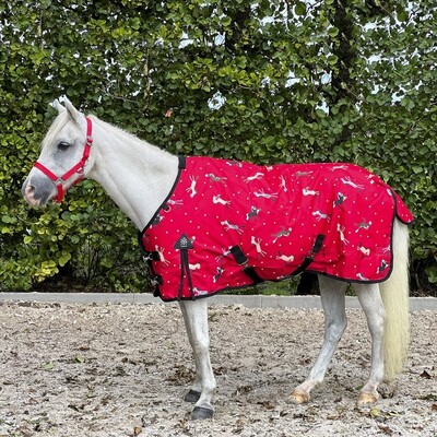 DKR Sports Mini Regendeken Luxe met fleece