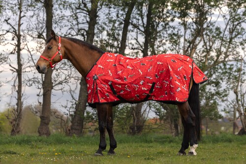 DKR Sports Regendeken Luxe met fleece