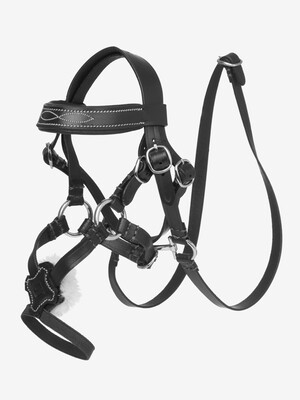 LeMieux Toy Pony Grackle Hoofdstel