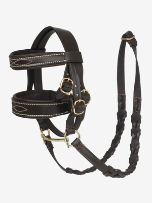 LeMieux Toy Pony Hunter Hoofdstel