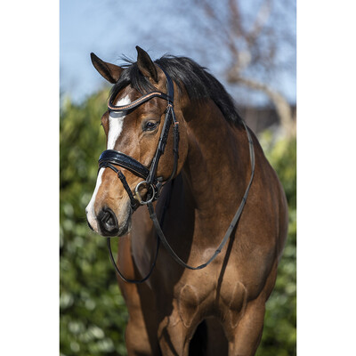 Horsegear Hoofdstel HGBlush