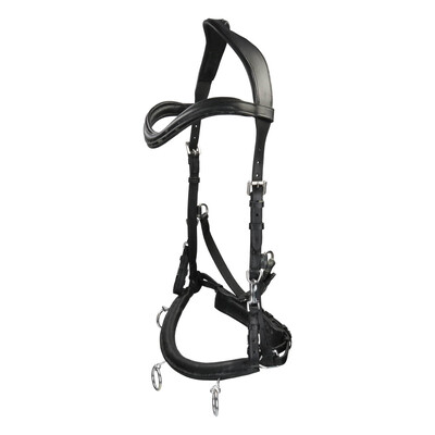Free Horse Kaptoom leder