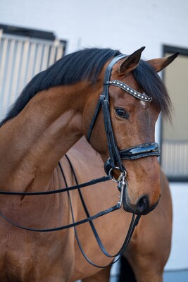HB Showtime Stang & trens hoofdstel One in a million