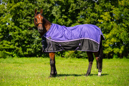 DKR Sports Outdoordeken Luxe 150grs