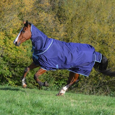 Bucas Regendeken Atlantic Exclusive & Neck