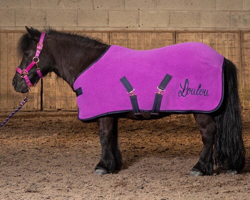 Harry's Horse Fleecedeken LouLou Quinn