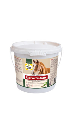 VITALstyle Darmbalans 4kg