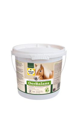 VITALstyle OerBalans 4kg brok