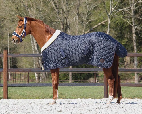 QHP Staldeken Classy