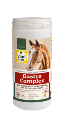 VITALStyle GastroComplex 1kg