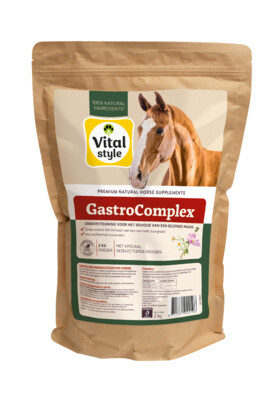 VITALStyle GastroComplex 2kg