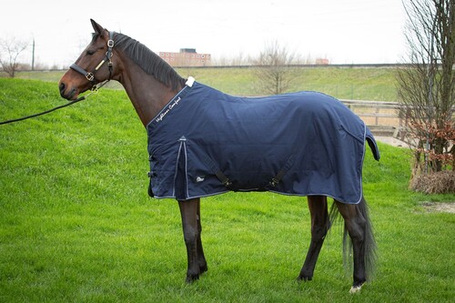Harry's Horse Staldeken Highliner Boa