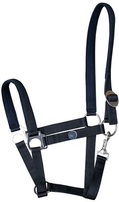 Harry's Horse Halster Padded