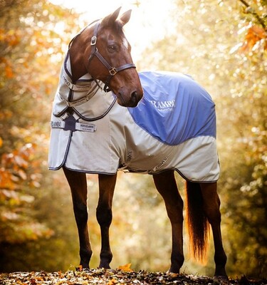 Horseware Rambo Autumn Series regendeken