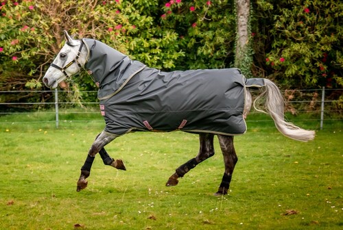 Horseware Amigo Hero Ripstop Plus Lite 0g regendeken