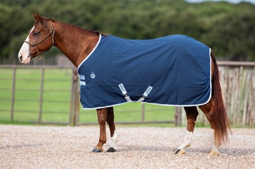 Amigo Stable Sheet 0grs Zomerdeken