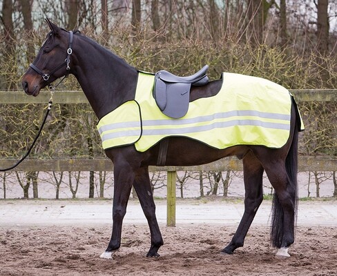 Harry's Horse Uitrijdeken Reflective