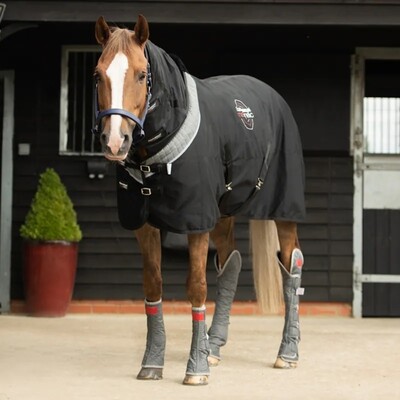 Equilibrium Magneetdeken voor paarden