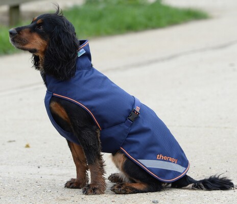 Bucas Therapy Dog Rug