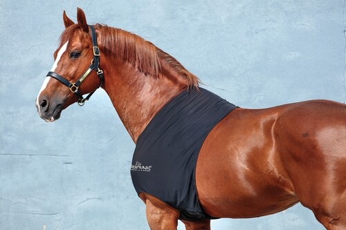 Horseware Rambo Slinky Shoulder - borstbeschermer