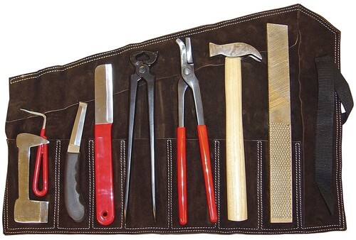 Harry's Horse Farrier kit