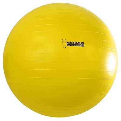 Maximus Power Play Ball paarden speelbal