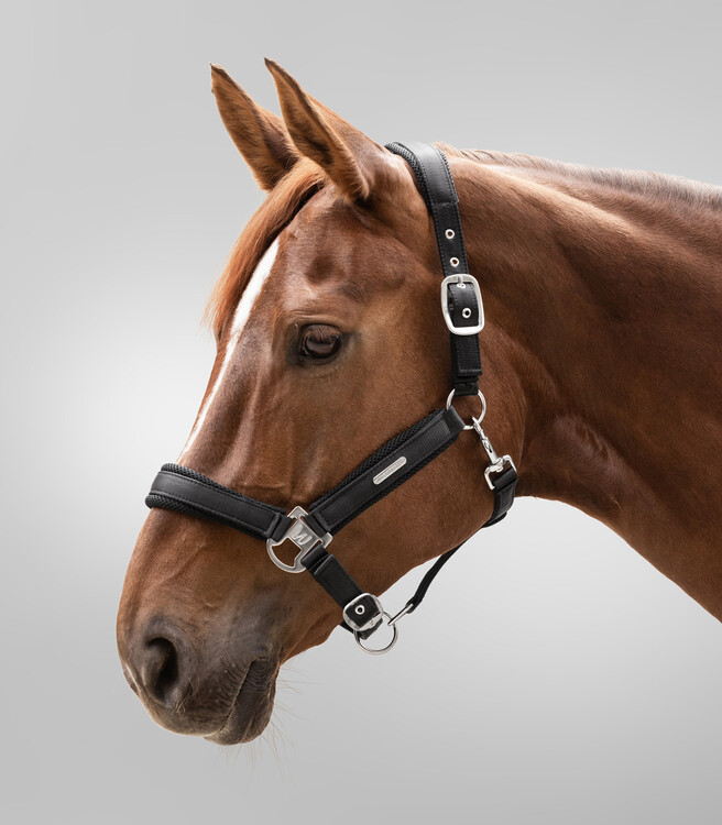 Waldhausen Halster Breath
