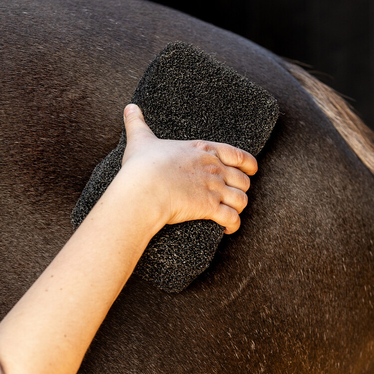 QHP Equi Super shiner