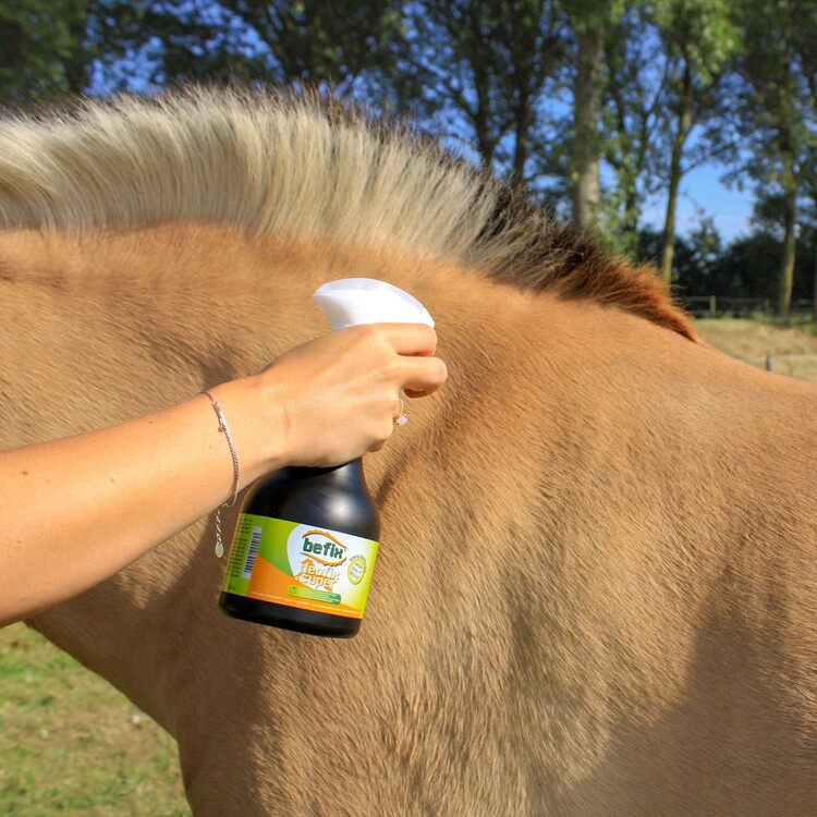 Befix Deofix Super Spray 500ml
