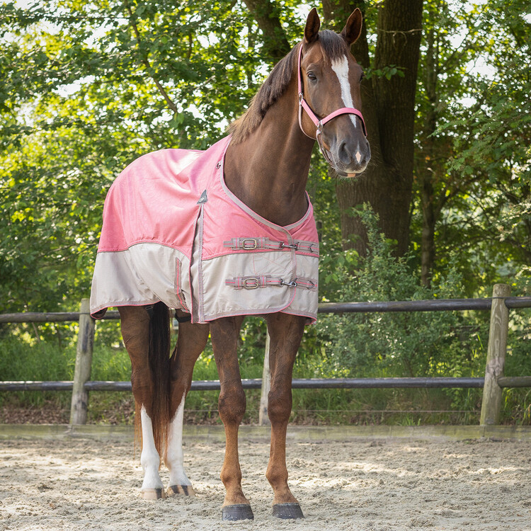 QHP Regendeken turnout collection 0gr