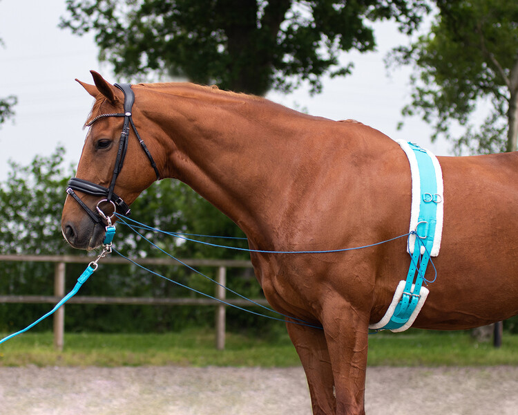 QHP Longeerlijn Soft